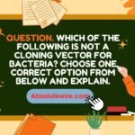 Which of the following is not a cloning vector for bacteria