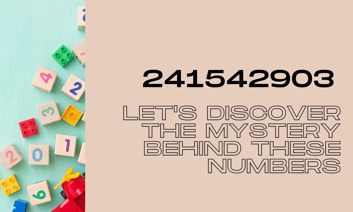 241542903: Let’s Discover The Mystery Behind These Numbers