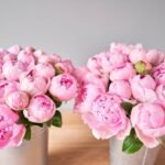 Value of Flowers in Interior Design