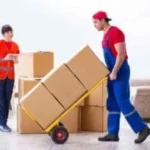 Intercity Packers and Movers: How to Choose the Right Service for Your Long-Distance Move