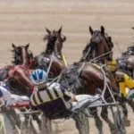 What Makes Harness Racing Unique in Australia?
