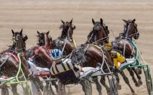 What Makes Harness Racing Unique in Australia?