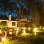 Landscape Lighting